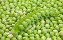 Украина начнет поставлять в Китай необычный продукт