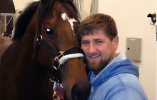 Викрадений кінь Кадирова повернеться до нього: лідер Чечні "подякував" за операцію українським спецслужбам