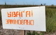 Мины и угрозы: на Одесчине между ТРО и руководством НП "Тузловские лиманы" вспыхнул конфликт