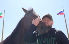 Чеченский "цыган": Кадыров заявил, что отнял коня Зазу у спецслужб Украины без "выкупа"
