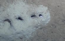 Вчені розгадали таємницю загадкових дірок на морському дні