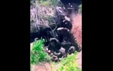Семеро українських воїнів взяли в полон 22 спецпризначенців РФ (відео)