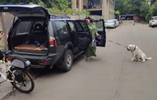 В Одессе от удушья едва не погибла собака, оставленная владелицей в машине (фото)