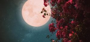 Май 2026 - месяц двух полнолуний: благоприятные дни для денег, любви и карьеры