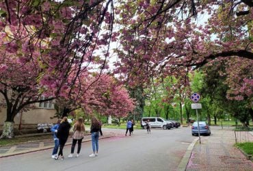 5 ідей для весняної подорожі на вихідні по Україні: від сакур до Шевченка