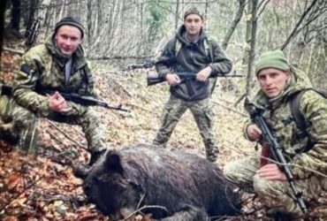 На Закарпатье пограничников обвинили в убийстве медведицы во время охоты: те ответили