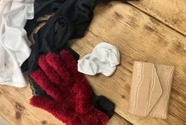 Кот-клептоман - горе в семье: женщине приходится постоянно краснеть за свое животное (фото)