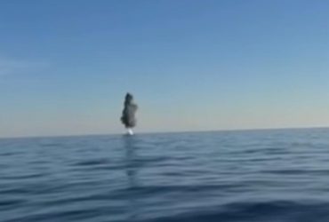 Успели уничтожить: в Одесской области в прибрежную зону вынесло штормом морскую мину (видео)