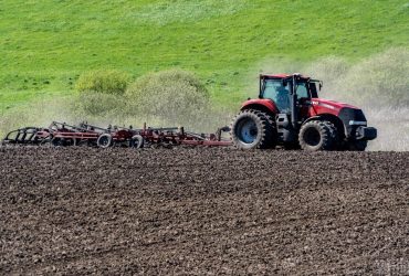 Українські аграрії знизили прогноз врожаю у 2024 році: в чому причина