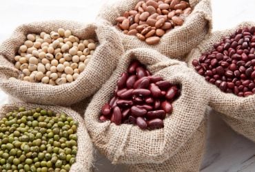 Фермери в РФ зібрали рекордний врожай бобових: чому це не врятує їх від банкрутства