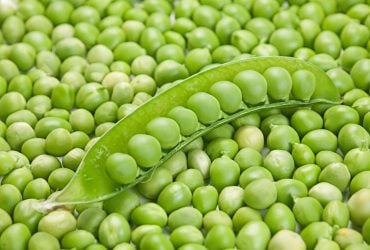 Украина начнет поставлять в Китай необычный продукт