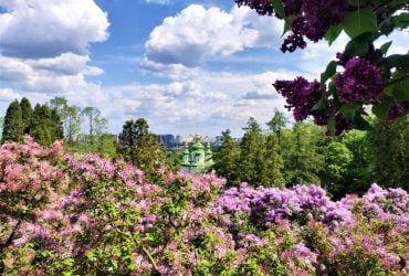 Київ поповнився двома пам’ятками природи: де вони знаходяться