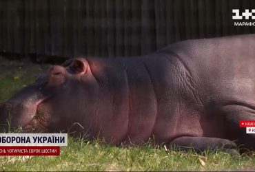 Літній сезон у київському зоопарку: тварини повертаються до відкритих вольєрів