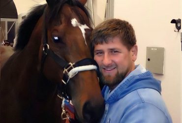 Викрадений кінь Кадирова повернеться до нього: лідер Чечні подякував за операцію українським спецслужбам