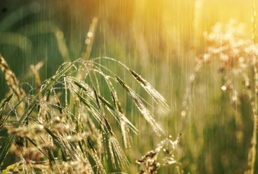 Синоптик назвала точную дату, когда дождей в Украине станет больше