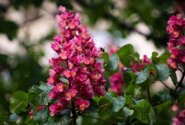 На початку тижня в Україні стане ще холодніше: прогноз погоди на 13 травня