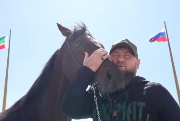 Чеченський циган: Кадиров заявив, що забрав коня Зазу у спецслужб України без викупу