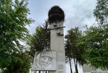 На Львовщине аисты сорвали декоммунизацию: снос памятника отложили