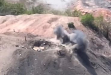 ЗСУ дроном-камікадзе знищили російське око мордора  - міністр (відео)