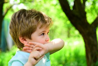 Что делать, если укусила пчела: правила первой помощи, которые могут спасти жизнь