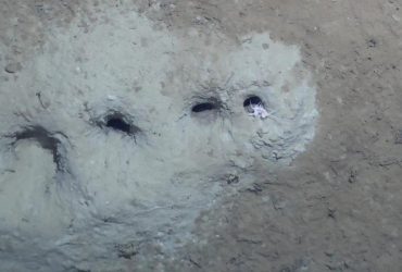 Ученые разгадали тайну загадочных дырок на морском дне