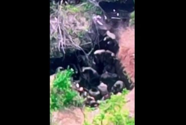 Семеро украинских воинов взяли в плен 22 спецназовцев РФ (видео)