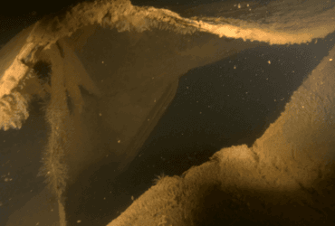 Одеський порт продає плавдок з пробоїною від російської ракети (фото)