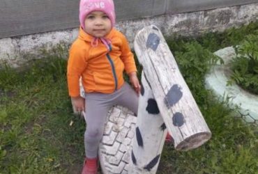 На Харківщині вже понад 16 годин шукають зниклу дворічну дівчинку (фото)