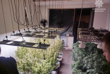 Догрався: у одесита, що погрожував людям іграшковим пістолетом, знайшли плантацію коноплі