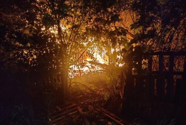 В Воздушных силах отчитались о ночной атаке на Киев - РФ отправила 31 БПЛА