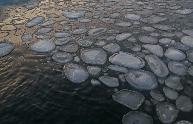 Українські полярники в Антарктиці натрапили на рідкісне явище (фото)