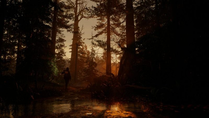 Alan Wake 2 / фото Remedy Alan Wake 2 / фото Remedy