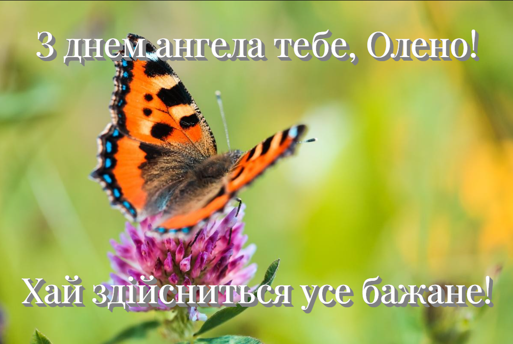 З Днем ангела Олени / фото ua.depositphotos.com З Днем ангела Олени / фото ua.depositphotos.com