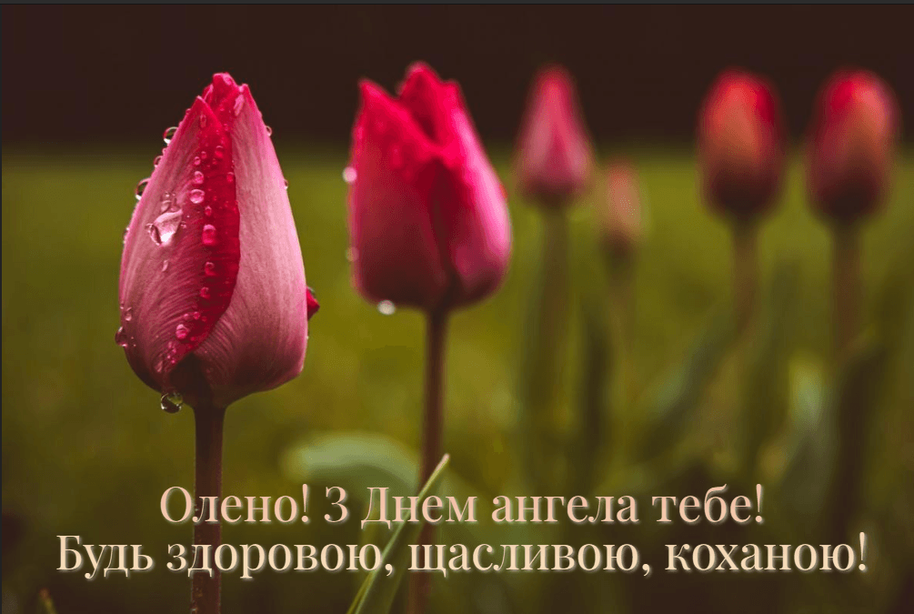 З Днем ангела Олени / фото ua.depositphotos.com З Днем ангела Олени / фото ua.depositphotos.com