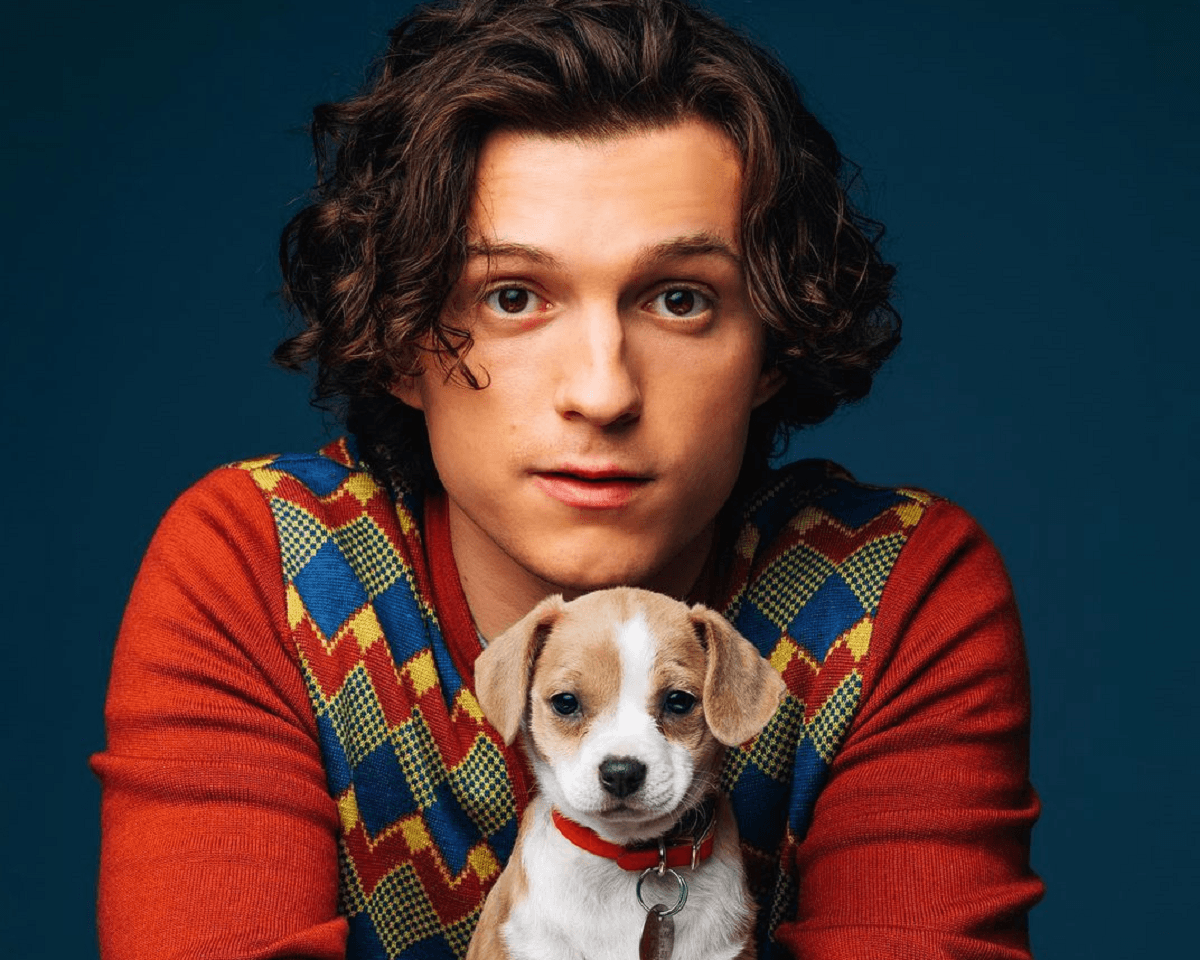 Том Холланд прекращает сниматься в кино / instagram.com/tomholland2013 Том Холланд прекращает сниматься в кино / instagram.com/tomholland2013