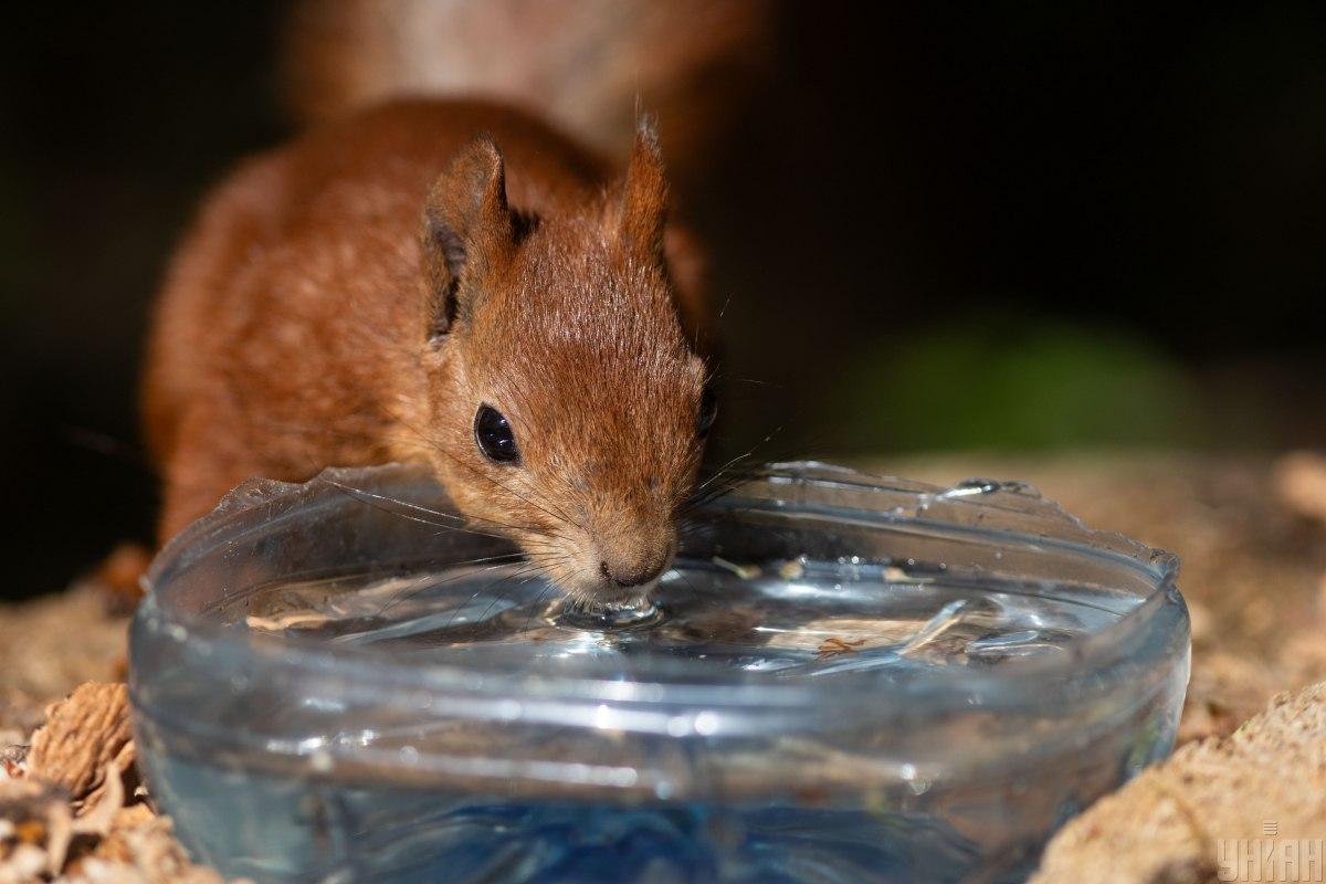 На выходных в Украине ожидается повышение температуры / фото УНИАН