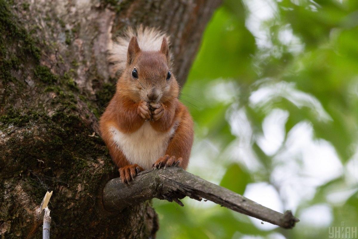 29 июля в Украину придет похолодание / фото УНИАН
