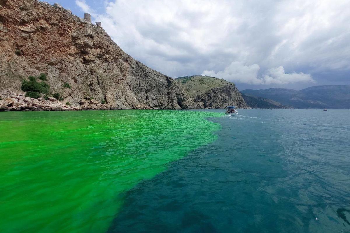 Воды акватории Балаклавы окрасилась в кислотно-зеленый цвет / фото социальные сети Воды акватории Балаклавы окрасилась в кислотно-зеленый цвет / фото социальные сети