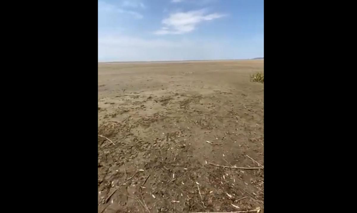 Каховське водосховище після підриву дамби ГЕС показали на відео / скріншот Каховське водосховище після підриву дамби ГЕС показали на відео / скріншот