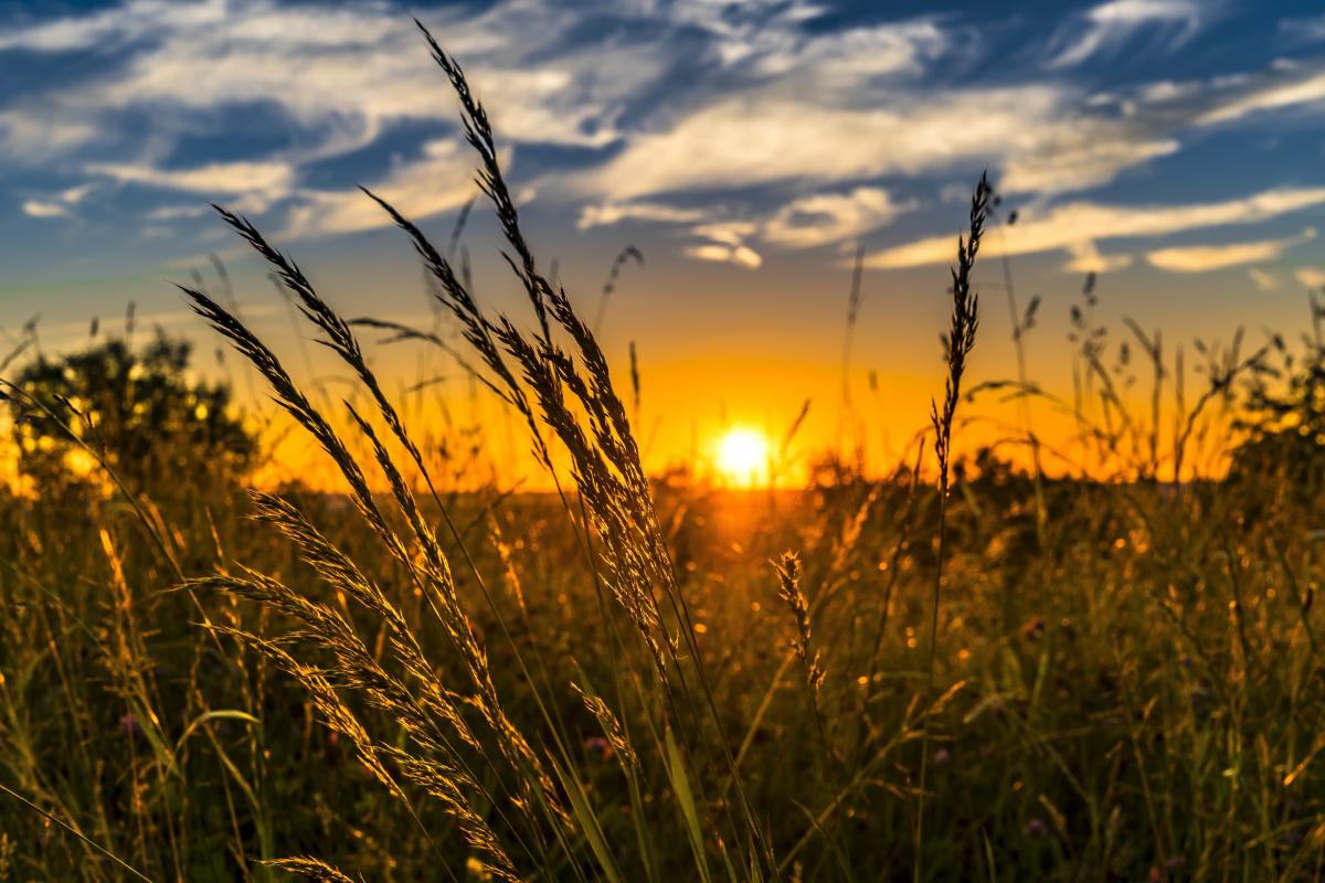 Какой сегодня праздник 1 июля / фото pixabay.com Какой сегодня праздник 1 июля / фото pixabay.com