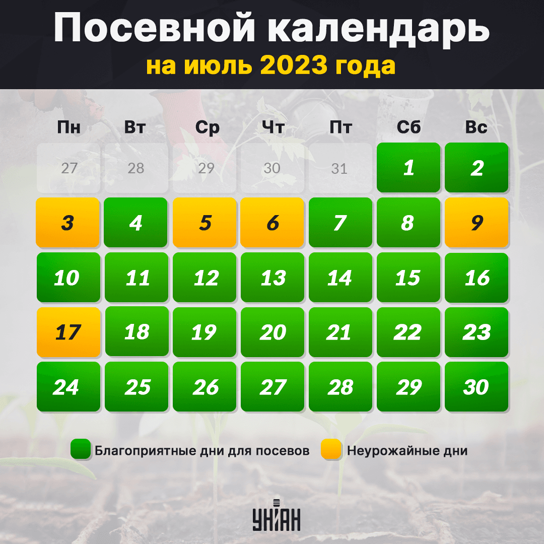 Посевной календарь на июль 2023 / фото УНІАН Посевной календарь на июль 2023 / фото УНІАН