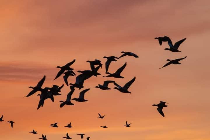 фото Івана Русєв фото Івана Русєв