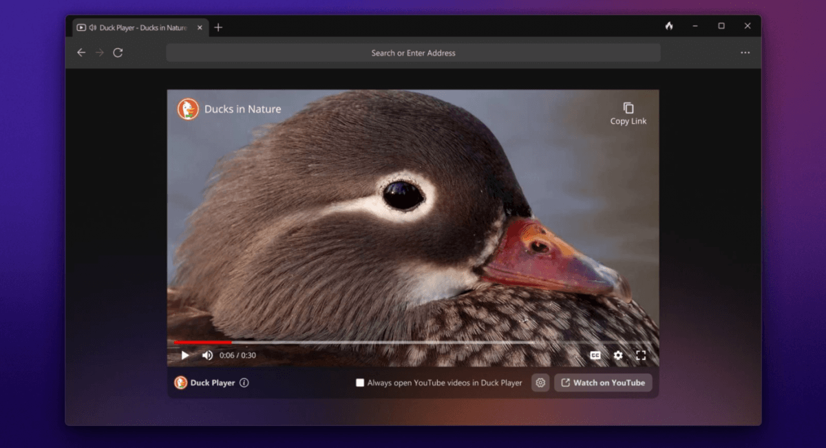 Конфіденційний браузер DuckDuckGo став доступний на Windows / фото DuckDuckGo Конфіденційний браузер DuckDuckGo став доступний на Windows / фото DuckDuckGo