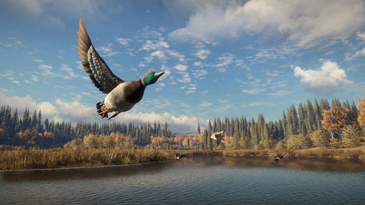theHunter: Call of the Wild / фото Expansive Worlds theHunter: Call of the Wild / фото Expansive Worlds