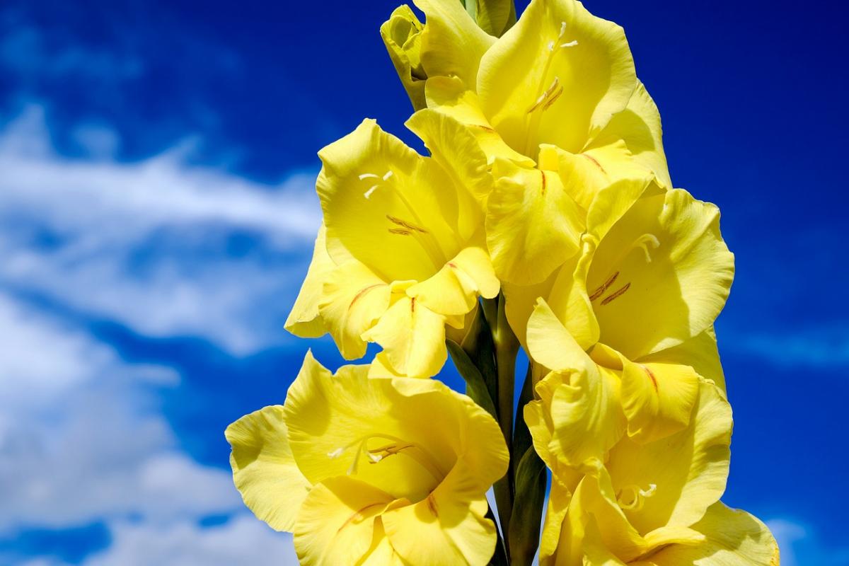 На вихідних погода в Україні зміниться