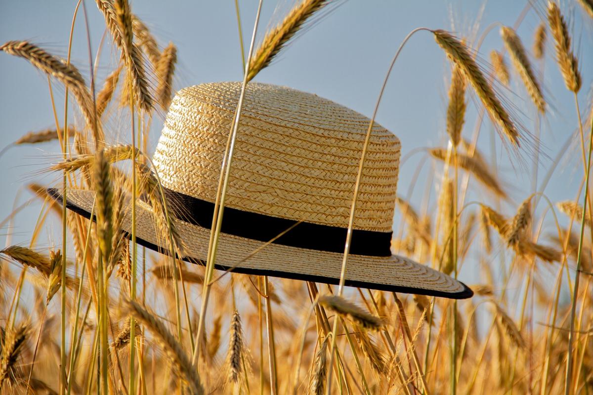 15 июля праздник Украина / фото Nicky, Pixabay 15 июля праздник Украина / фото Nicky, Pixabay