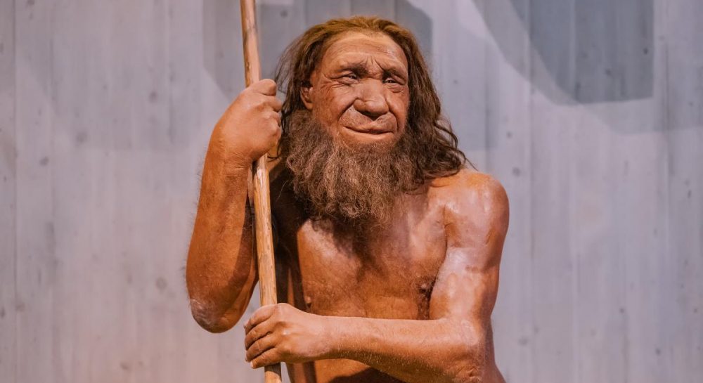 ДНК неандертальца может быть причиной плохого иммунитета современного  человека - ученые — УНИАН