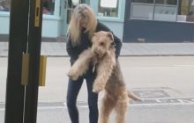 Упрямый пес попытался затянуть хозяйку в паб и рассмешил очевидцев (видео)