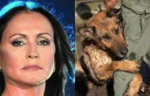 Підрив Каховської ГЕС: Ротару не стрималася через фото, де собака обіймає свого рятівника