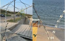 До Одеської затоки почало прибивати трупи тварин та майно постраждалих людей (відео)